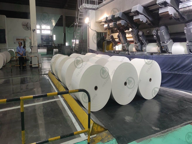 GOLDEN PAPER Shines in the Evolving Global Paper Industry