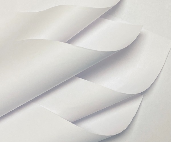 IMG_202506052055_600x500.jpg IMG_202506052055_600x500.jpg